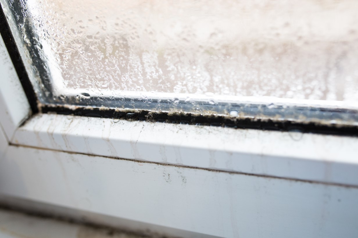 Condensation sur la fenêtre de la chambre : 11 solutions